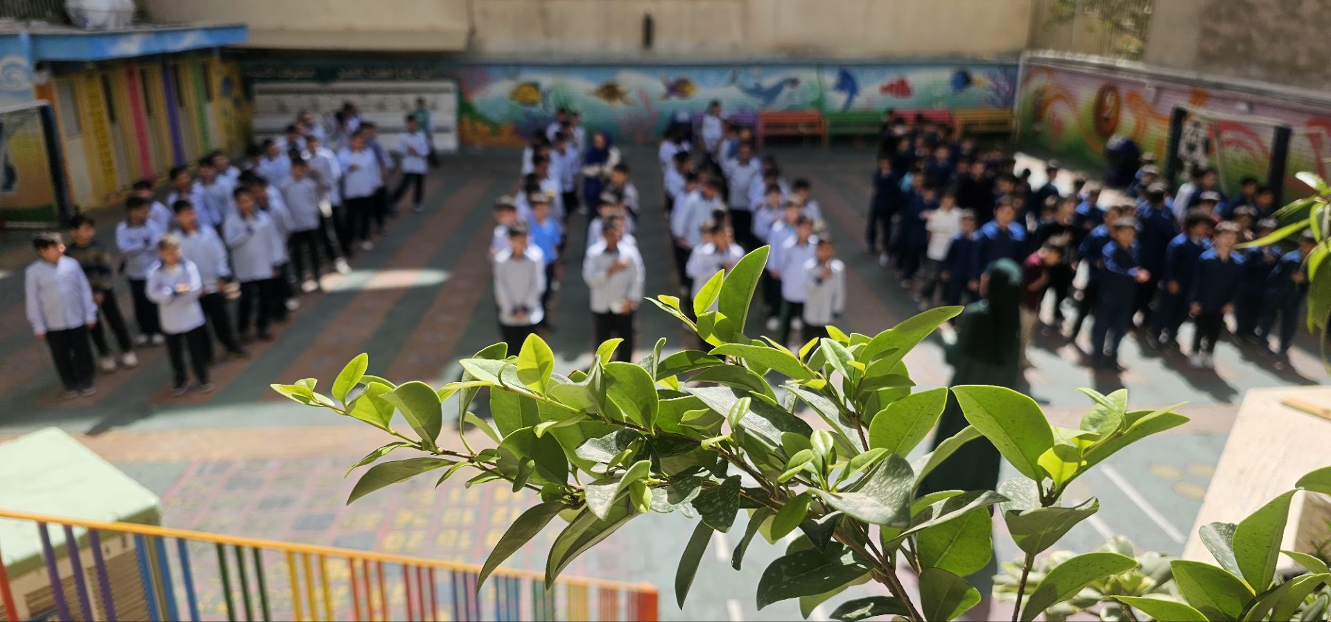 دبستان هوشمند شیخ محمد خیابانی